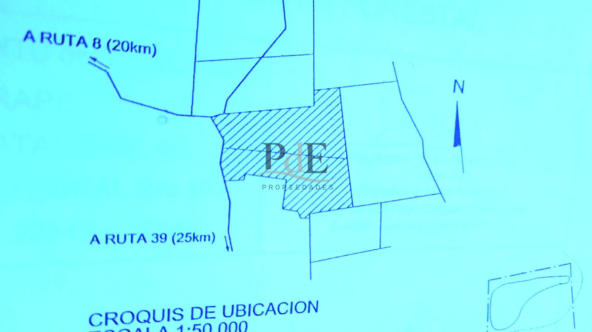 Campo en Venta , paraje Carapé. Con forestación. - Imagen 12