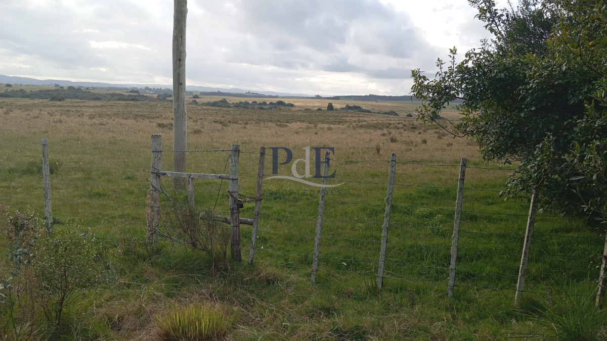 Garzón (campo turístico) 25 hectáreas en Zona Garzón, Maldonado. - Imagen 1