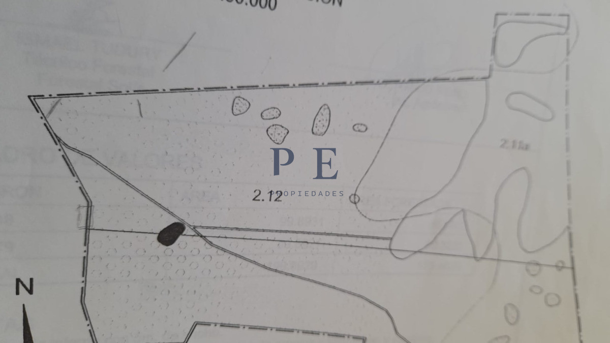 Campo en Venta , paraje Carapé. Con forestación. - Imagen 10