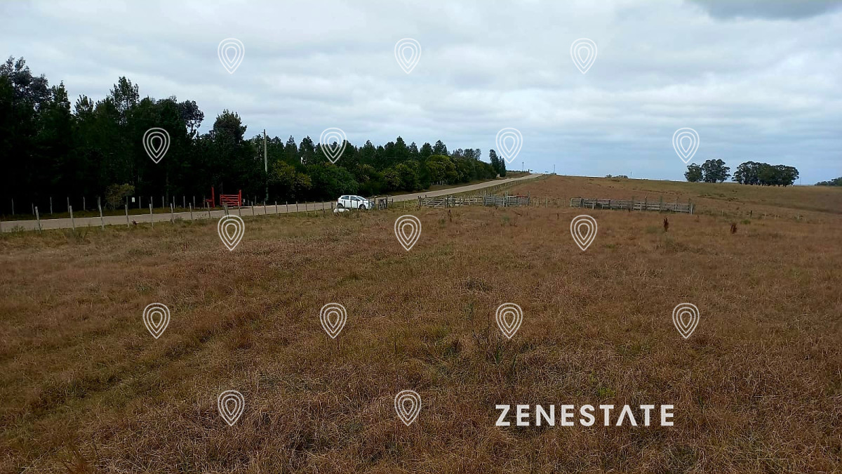 Campo de calidad a minutos de José Ignacio y Garzón - ZEN5939P