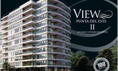 View II 401