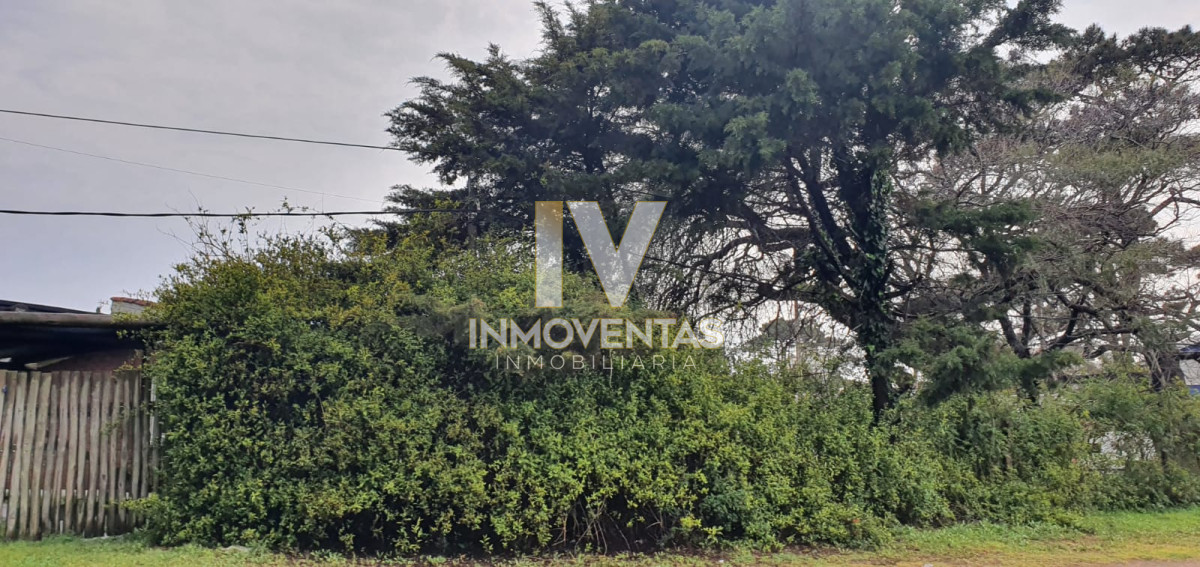 Casa ID.565 - Punta Este, zona Parada 5