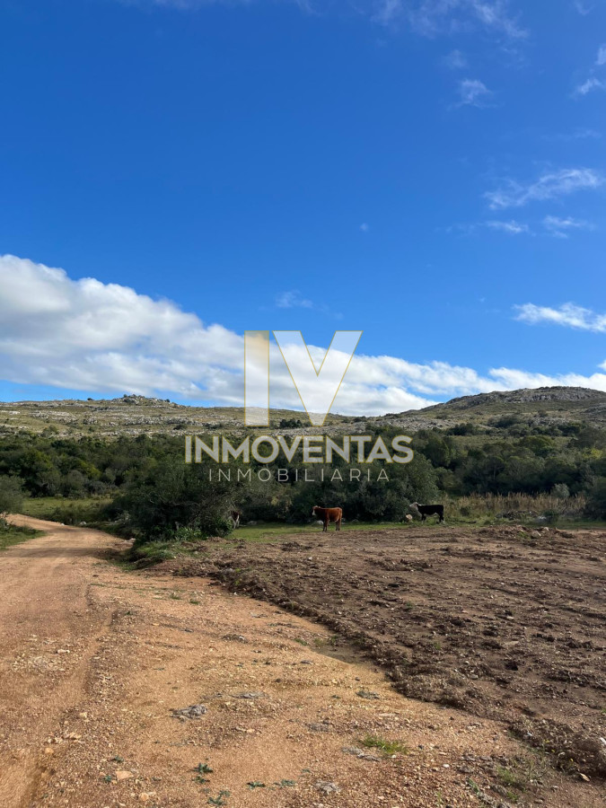 Chacra ID.4438 - Chacra en Ruta 39 entre Aiguá y San Carlos