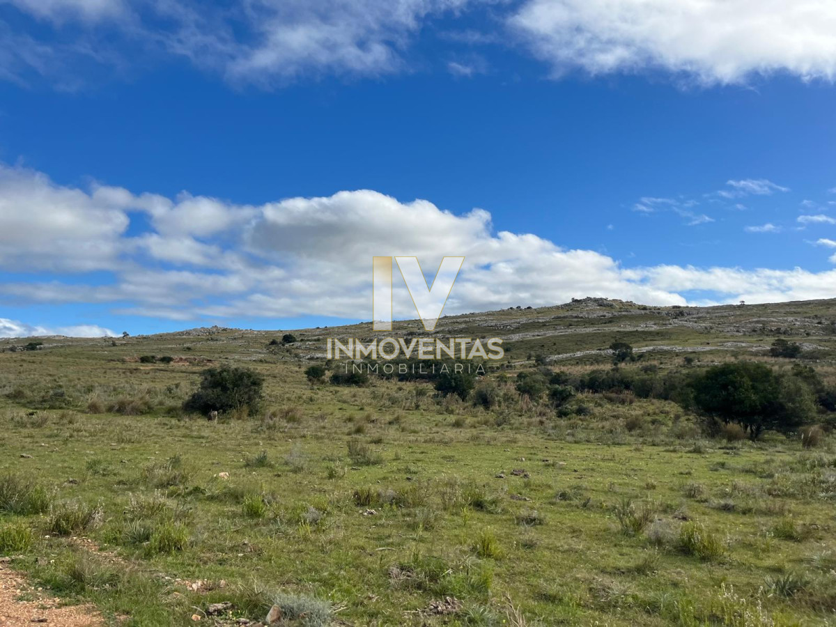 Chacra ID.4438 - Chacra en Ruta 39 entre Aiguá y San Carlos