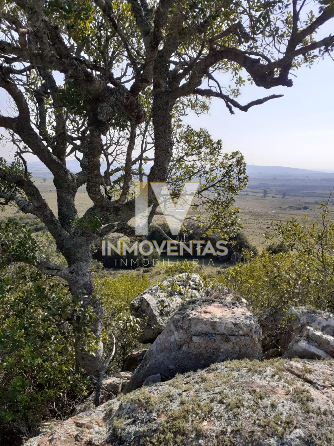 Chacra ID.4433 - Chacra en Ruta 39 entre Aiguá y San Carlos