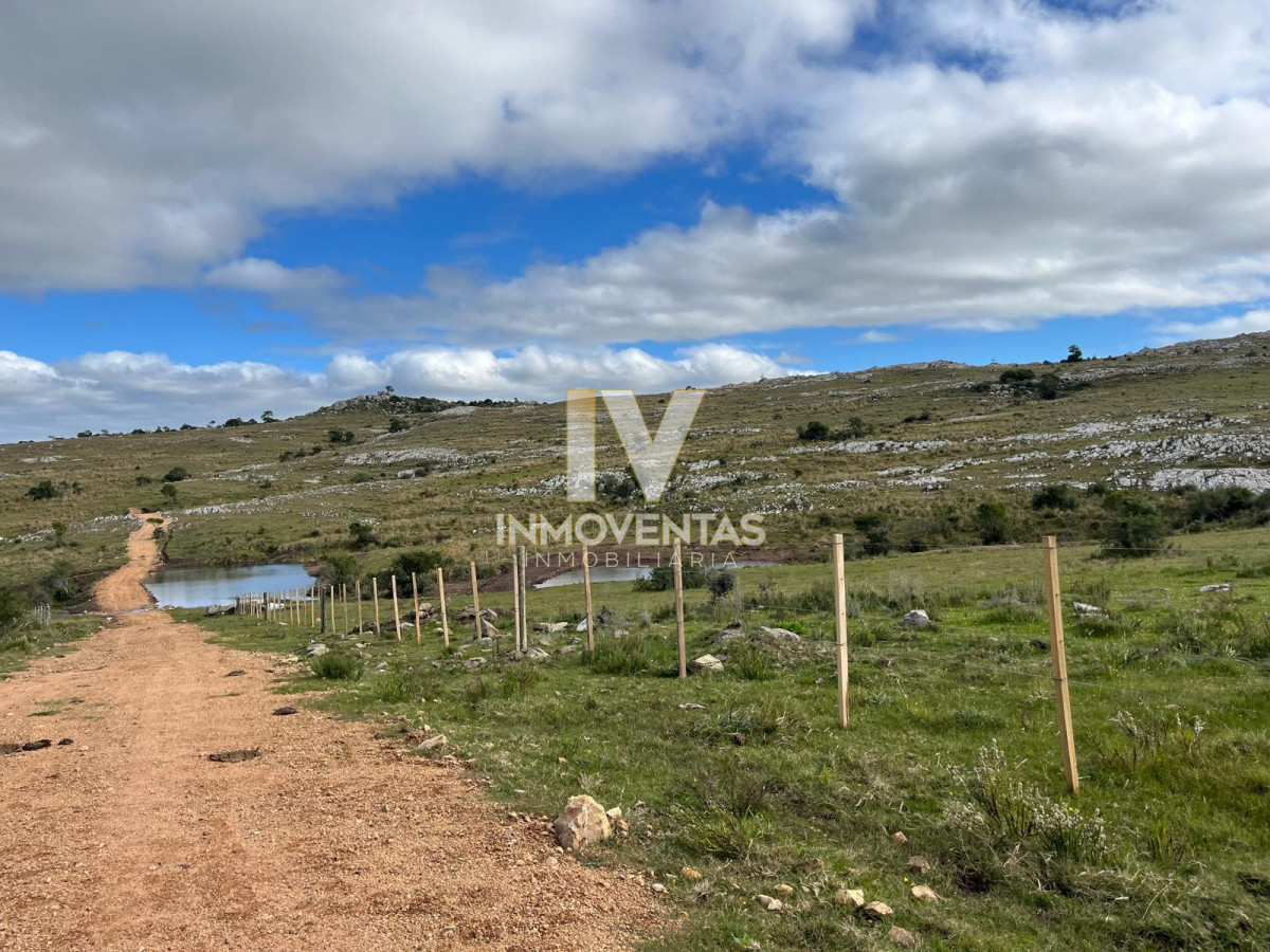 Chacra ID.4440 - Chacra en Ruta 39 entre Aiguá y San Carlos