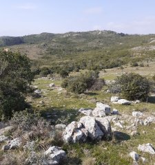 Chacra en Ruta 39 entre Aiguá y San Carlos