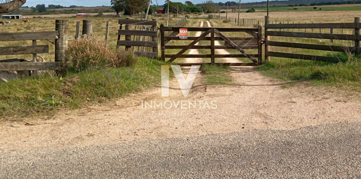 Campo Ref.4684 - Campo ideal para plantación Cannabis