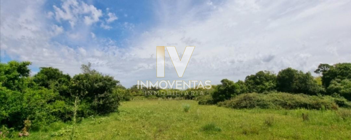 Campo Ref.4684 - Campo ideal para plantación Cannabis