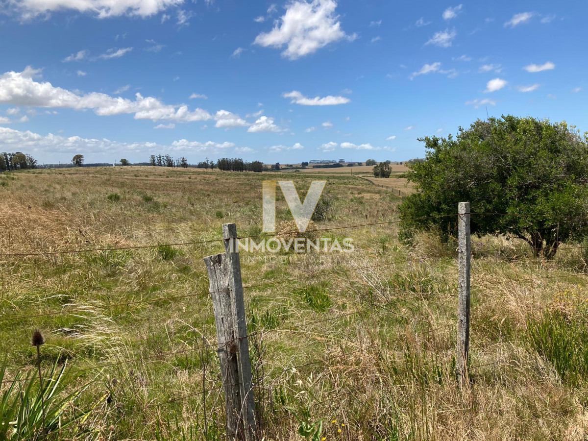 Campo Ref.1856 - Campo con potencial 