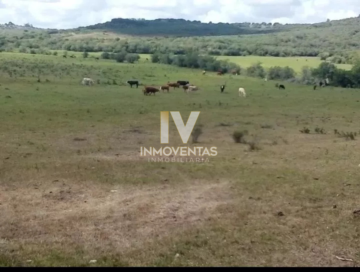 Campo Ref.4750 - Campo en Maldonado, 