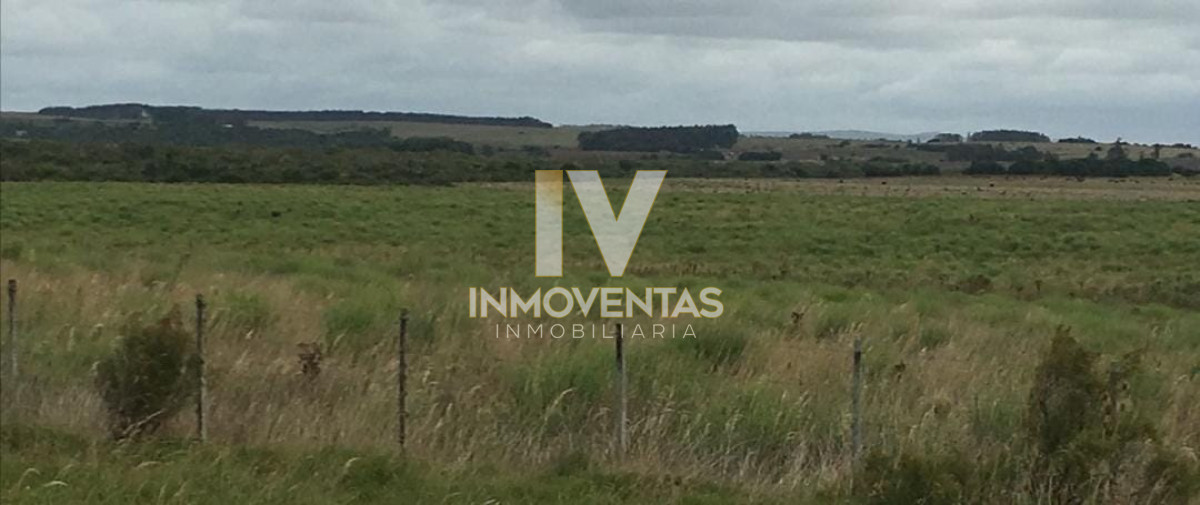 Campo Ref.4683 - Campo a pocos metros de Ruta Nacional número 9