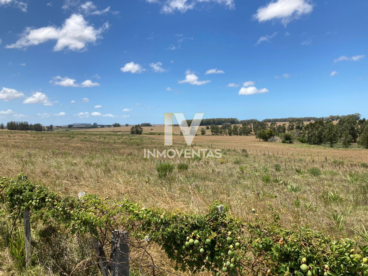 Campo Ref.1856 - Campo con potencial 