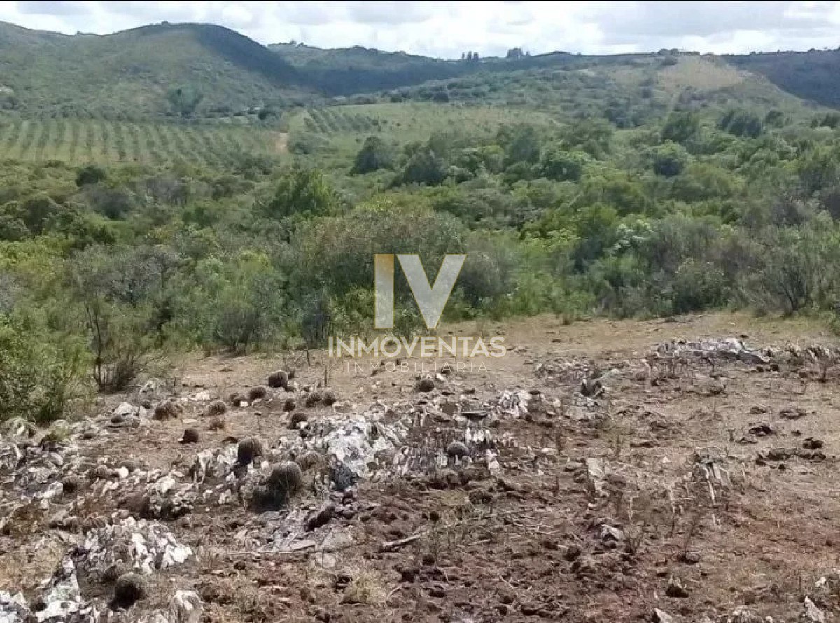 Campo Ref.4750 - Campo en Maldonado, 