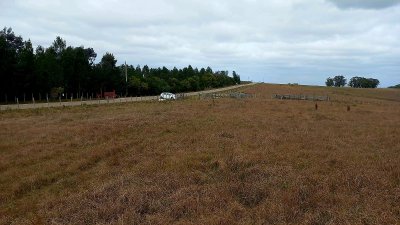 Campo de calidad a minutos de José Ignacio y Garzón