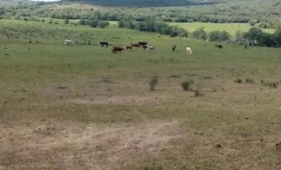 Campo en Maldonado,