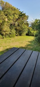 la barra (local y apartamento) - iev811l