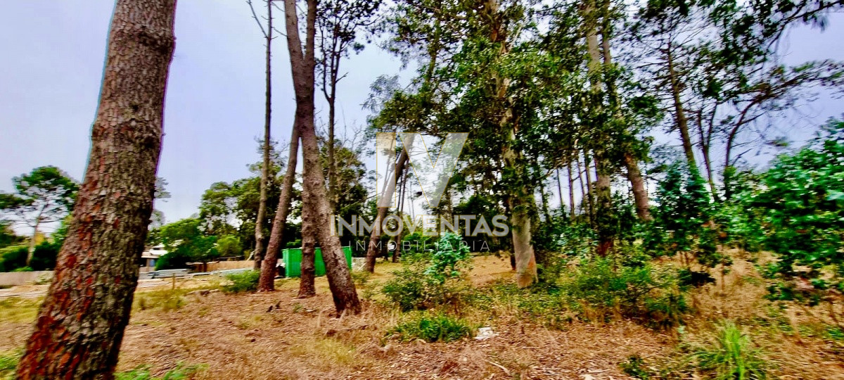 Terreno ID.1841 - Terreno en zona de Colegios