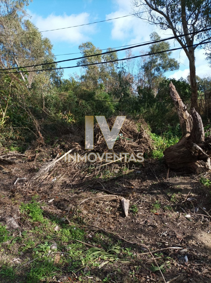 Terreno ID.3070 - Terreno en la Barra