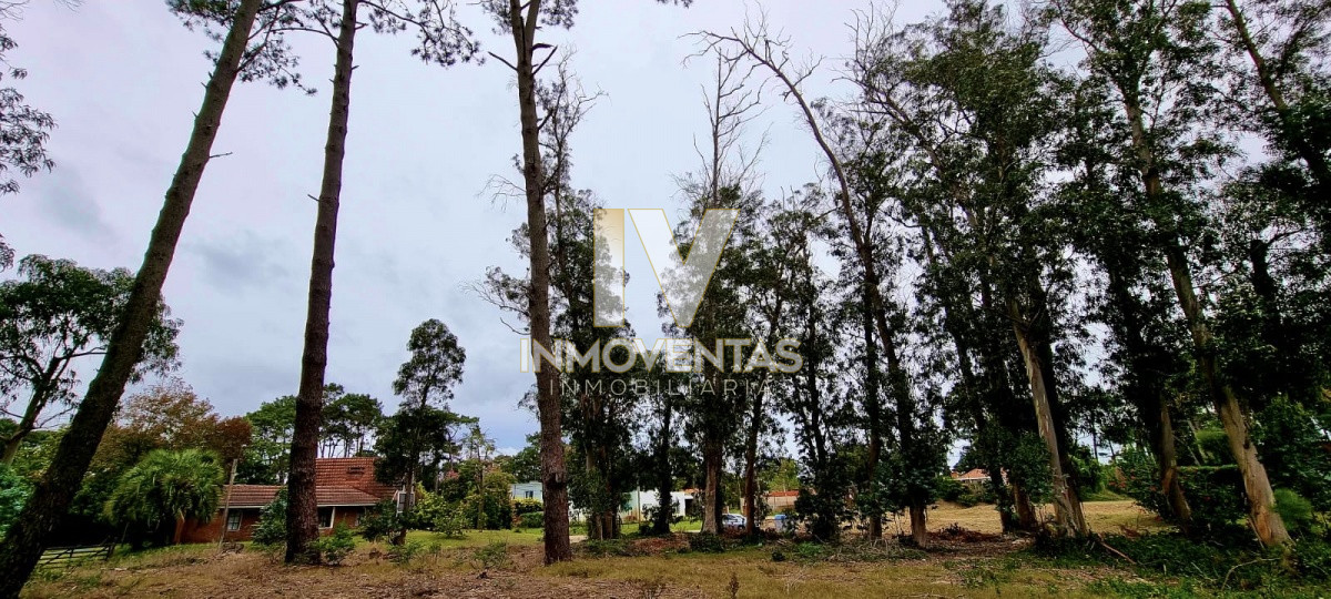 Terreno ID.1841 - Terreno en zona de Colegios