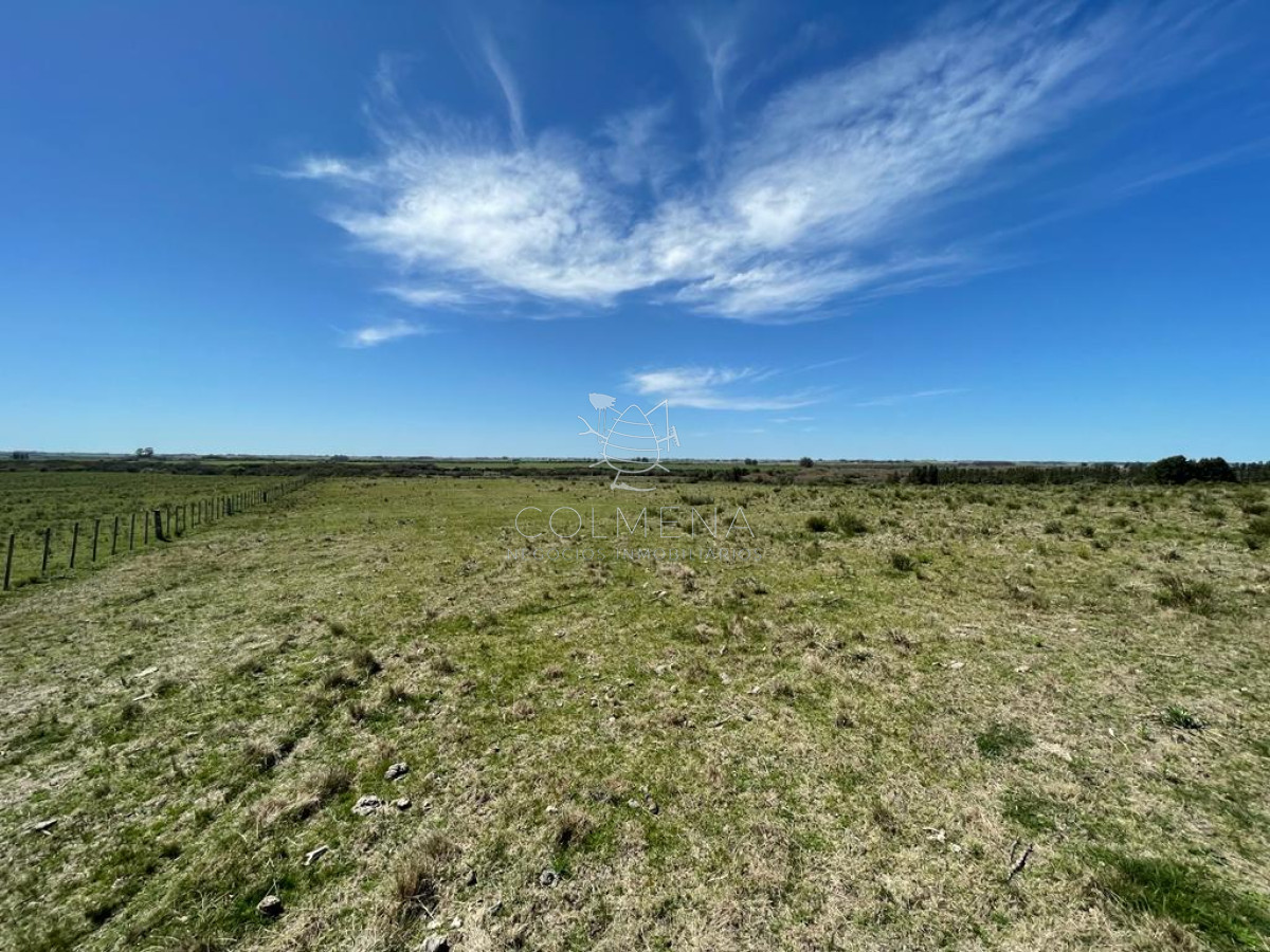San Carlos - GoPunta - Portal Inmobiliario de Punta del Este - Maldonado