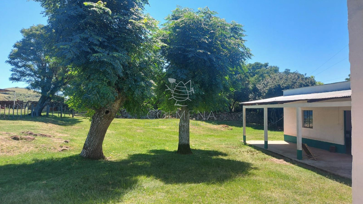 campo ganadero - GoPunta - Portal Inmobiliario de Punta del Este - Maldonado