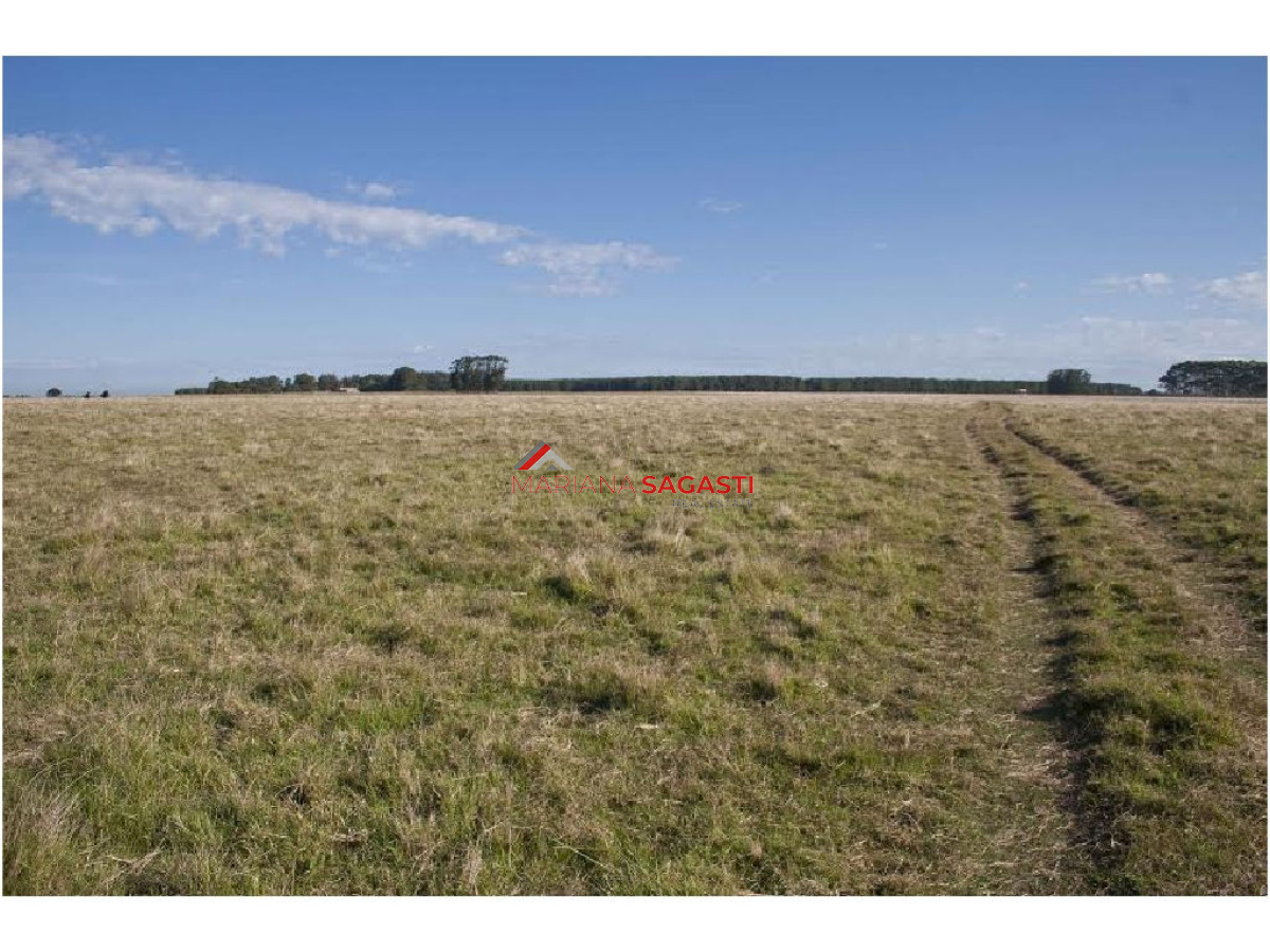 Campo Ref.3762 - .
