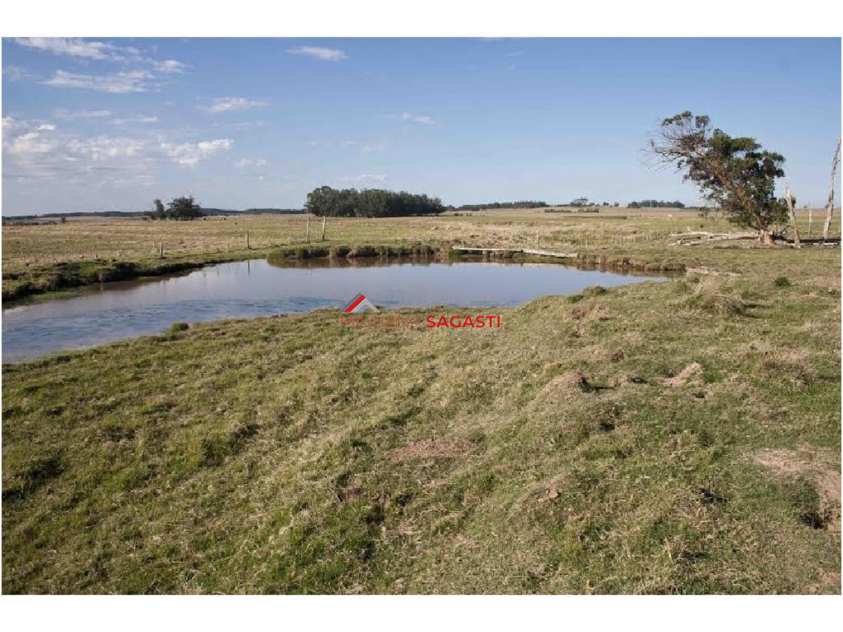 Campo Ref.3762 - .