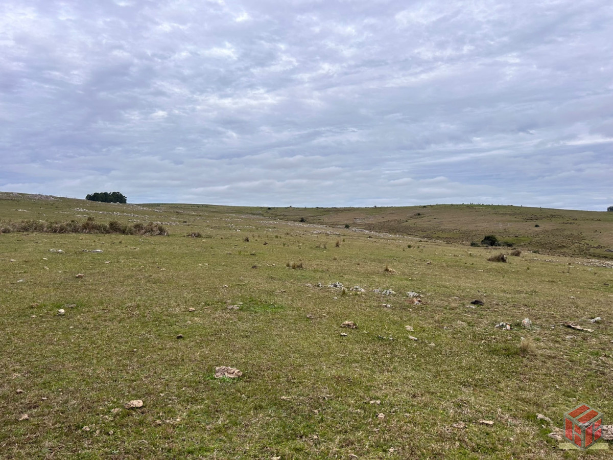 Chacra ID.9108 - Espectacular chacra con arroyo