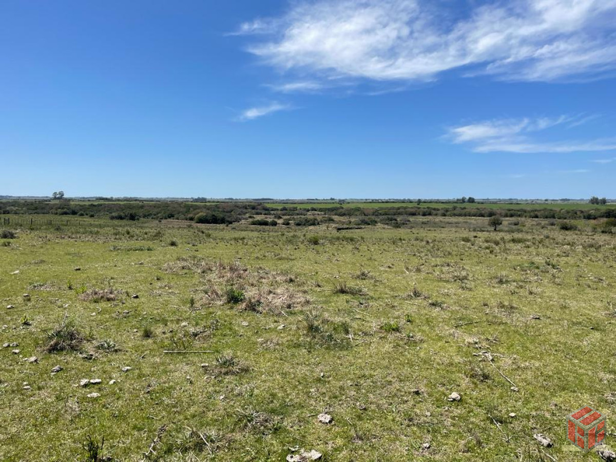 Chacra ID.8905 - linda fraccion de campo sobre ruta cerca de San Carlos