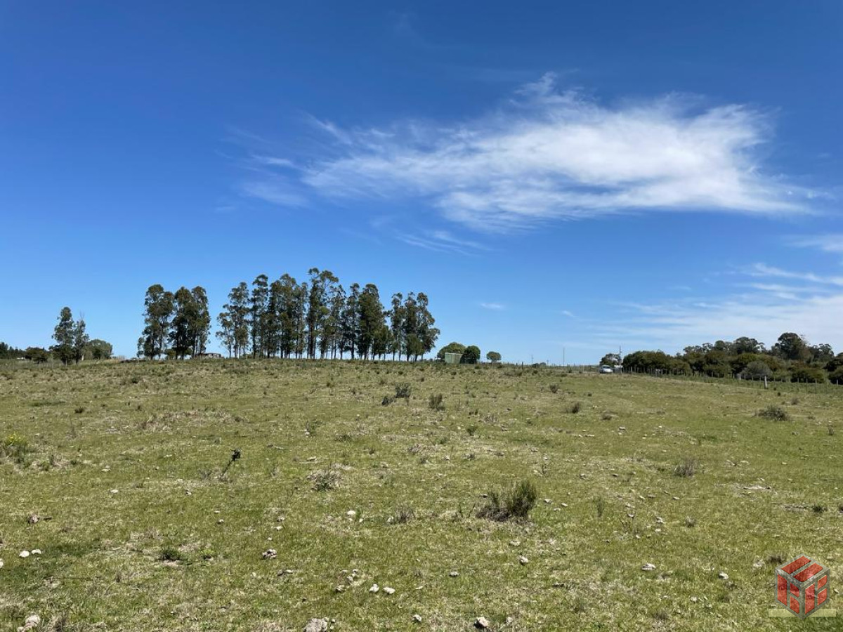 Chacra ID.8905 - linda fraccion de campo sobre ruta cerca de San Carlos