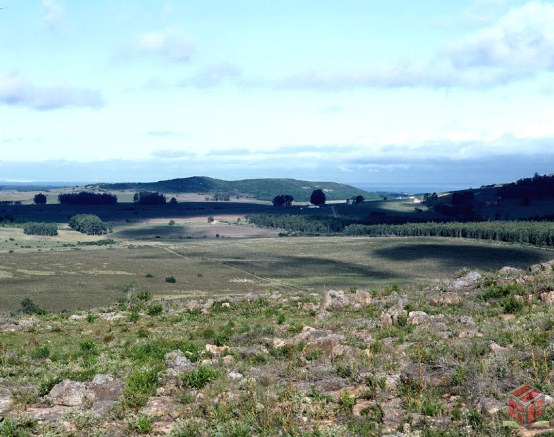 Chacra ID.8693 - magnifica fraccion de casi 50 hectareas PANORAMICAS