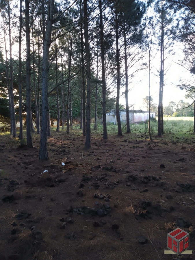 Chacra ID.8818 - chacra a 20 m del centro de punta del este zona aeropuerto