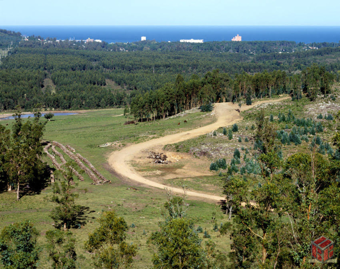 Chacra ID.8693 - magnifica fraccion de casi 50 hectareas PANORAMICAS