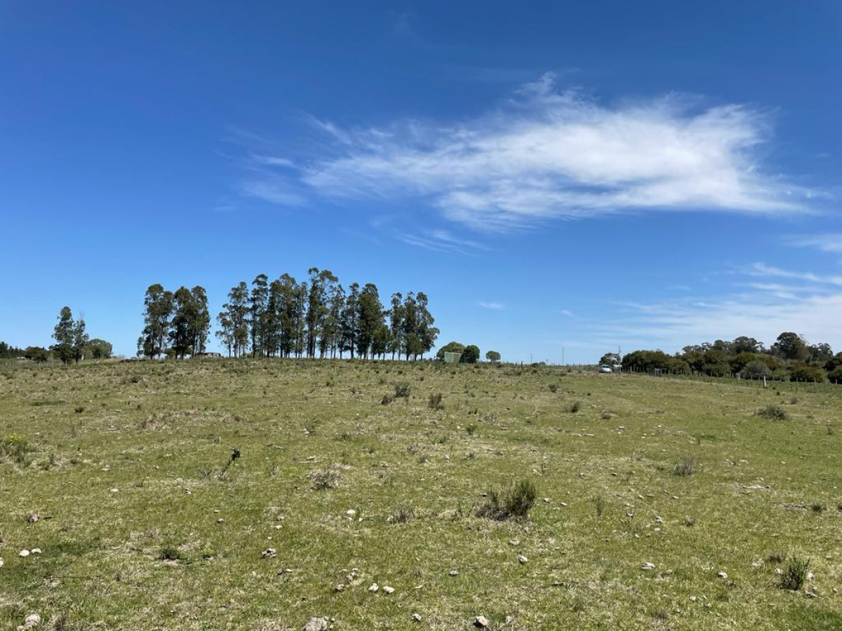 linda fraccion de campo sobre ruta cerca de San Carlos