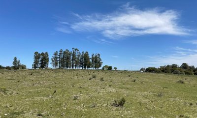 linda fraccion de campo sobre ruta