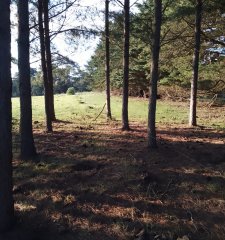 chacra a 20 m del centro de p este zona aeropuerto