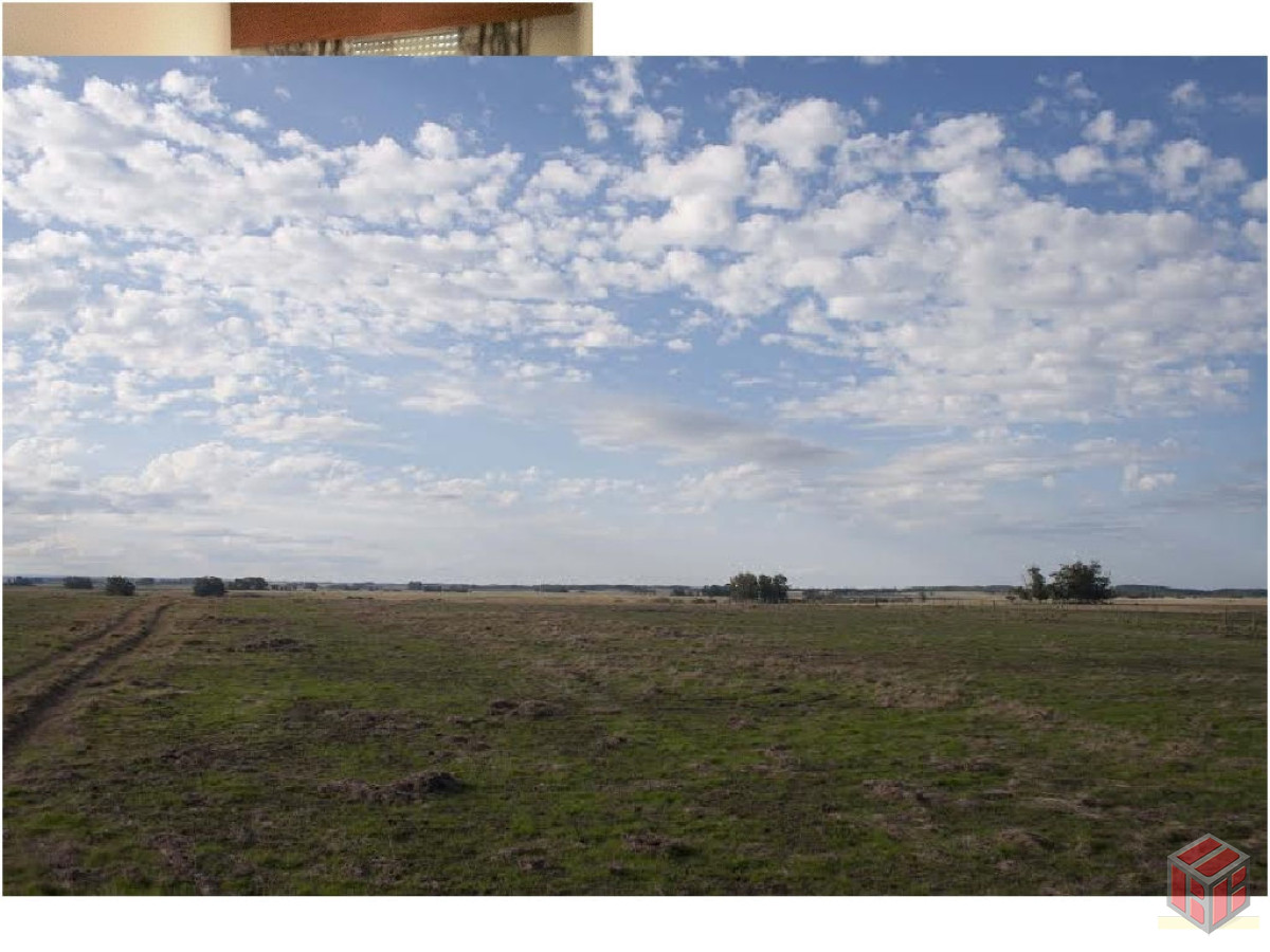 Campo Ref.8171 - .rocha