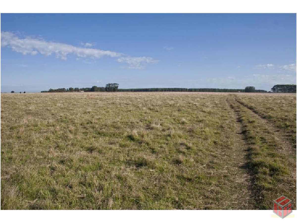 Campo Ref.8171 - .rocha