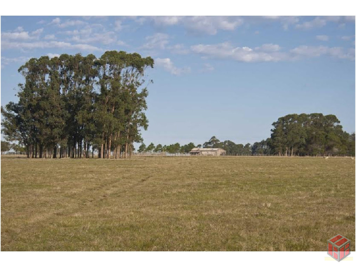 Campo Ref.8171 - .rocha