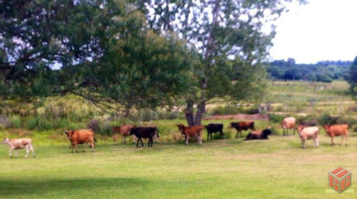 Campo Ref.8746 - Campo con residencia, vista al cerro y laguna