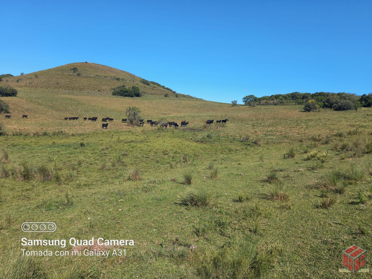 Campo Ref.8928 - campo ganadero
