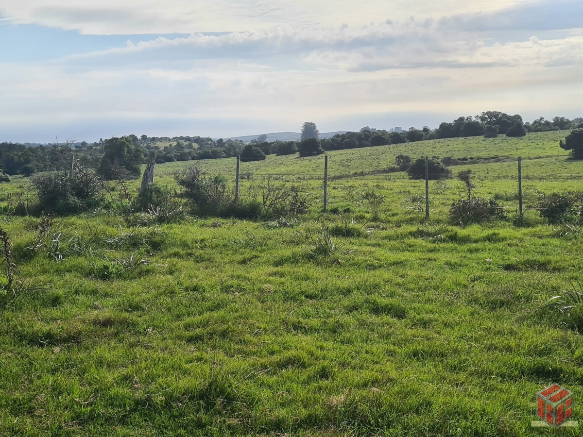 Campo Ref.8741 - campo agrícola