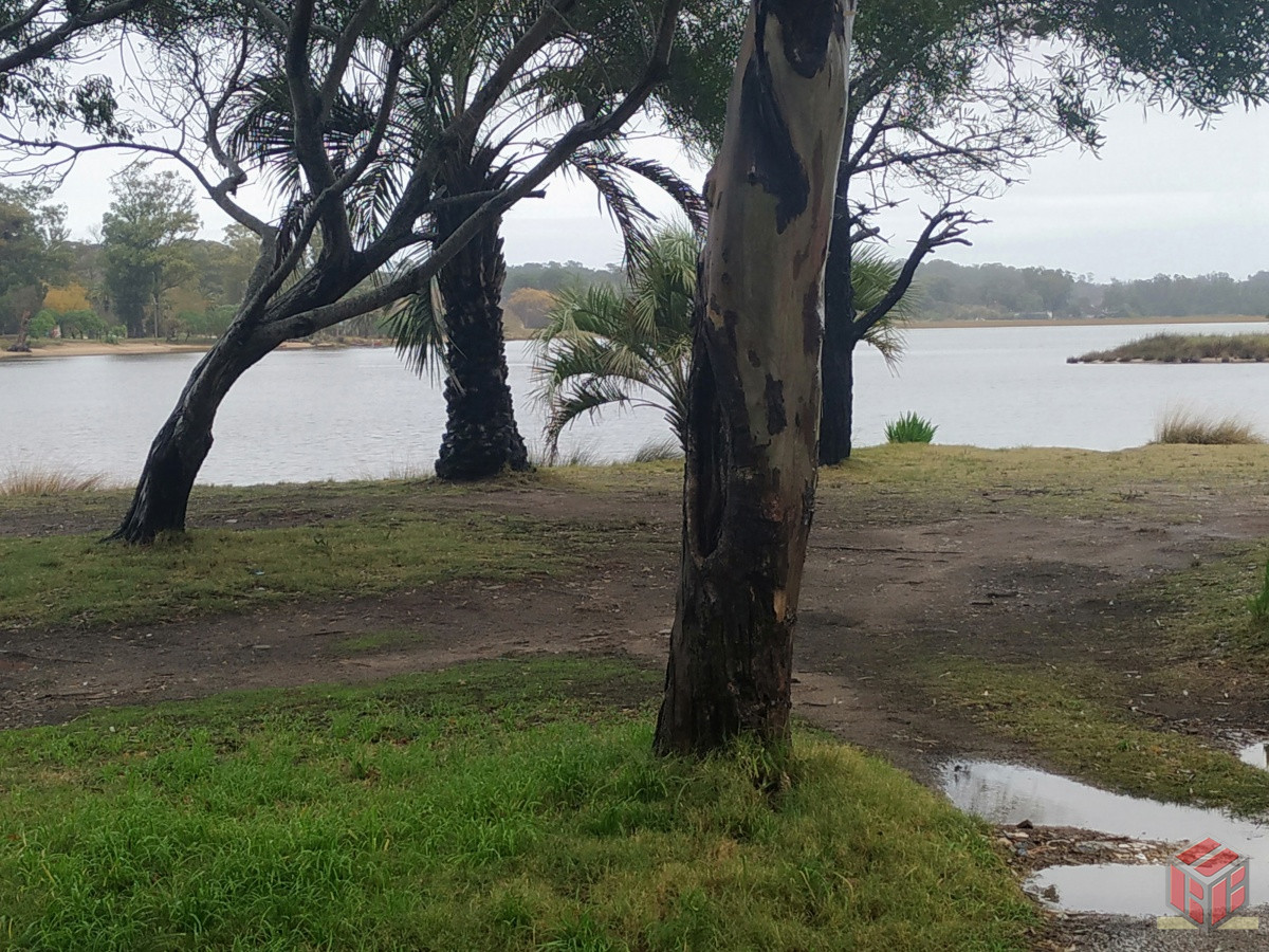 Local Comercial ID.8334 - Vista al Arroyo Maldonado 