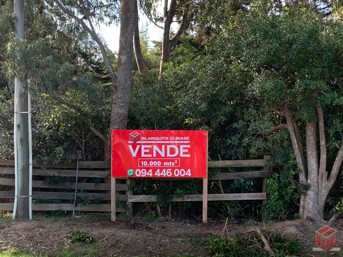 Terreno ID.8864 - gran lote de 10 mil metros buen frente sobre ruta