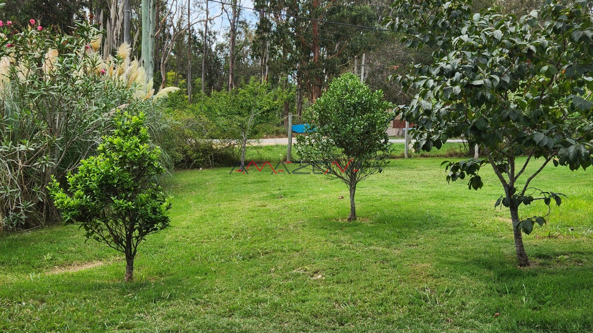 Casa ID.5052 - BUENA CASA EN EXCELENTE UBICACIÓN EN EL TESORO