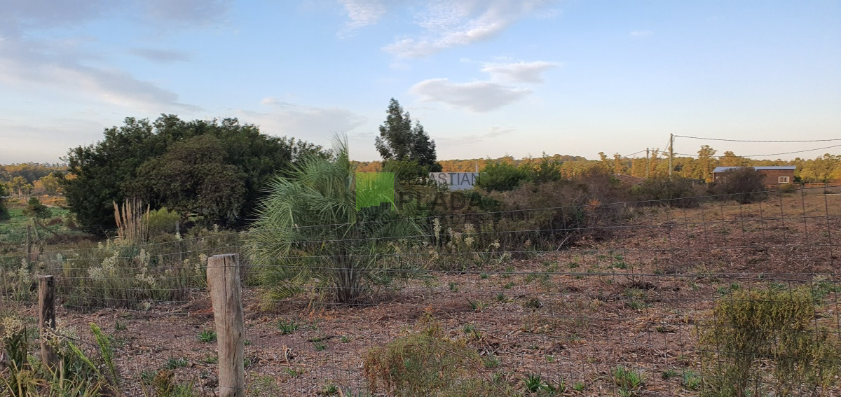 Terreno ID.227 - Lote en Miramar Acres