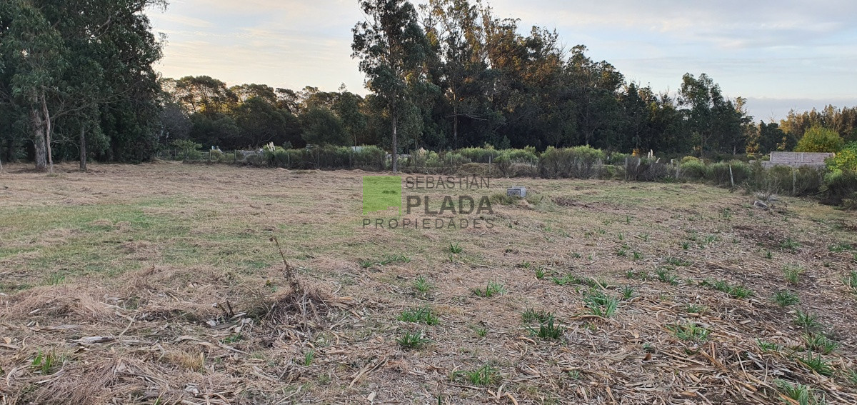 Terreno ID.227 - Lote en Miramar Acres