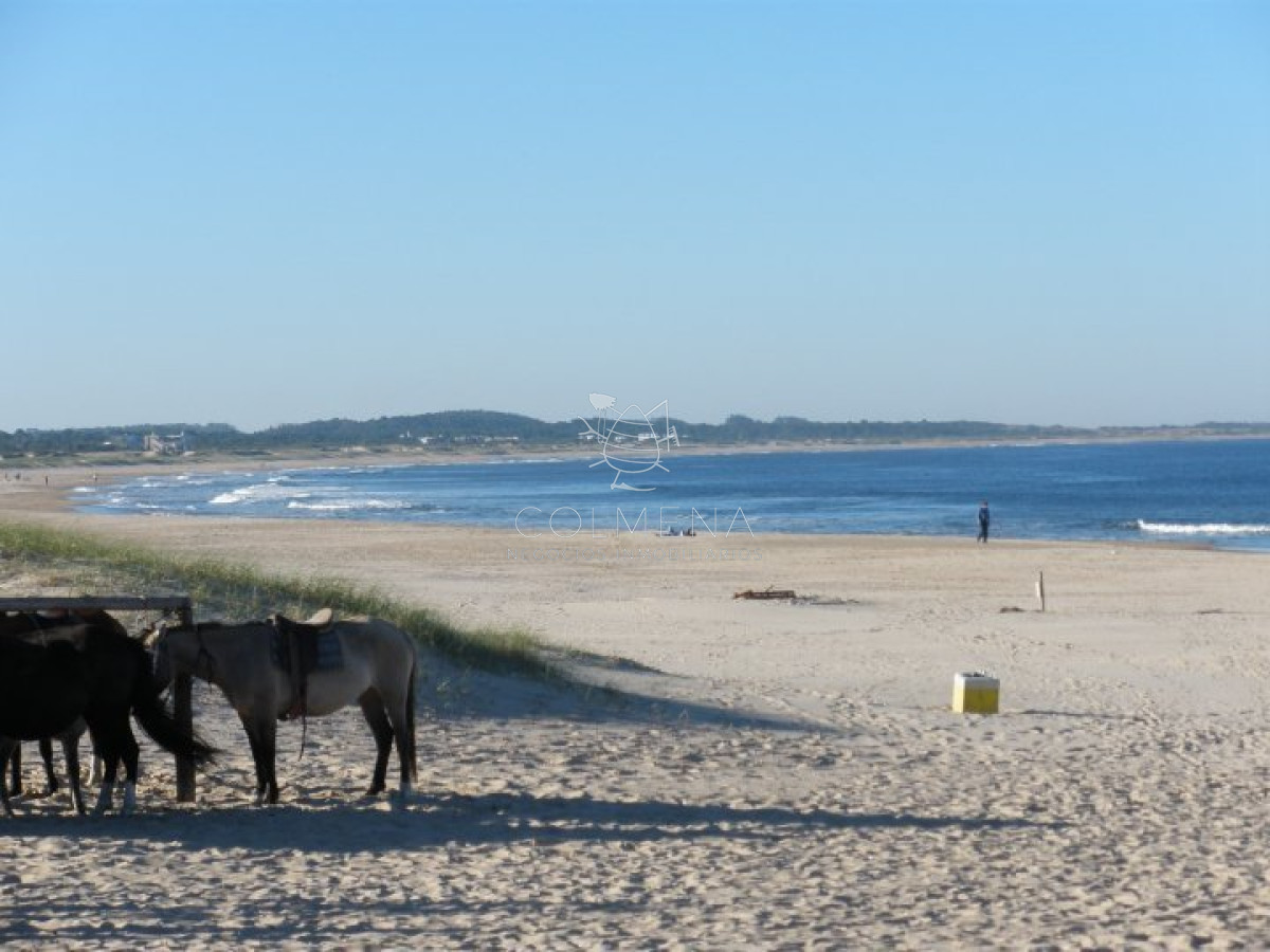 Santa Monica - GoPunta - Portal Inmobiliario de Punta del Este - Maldonado