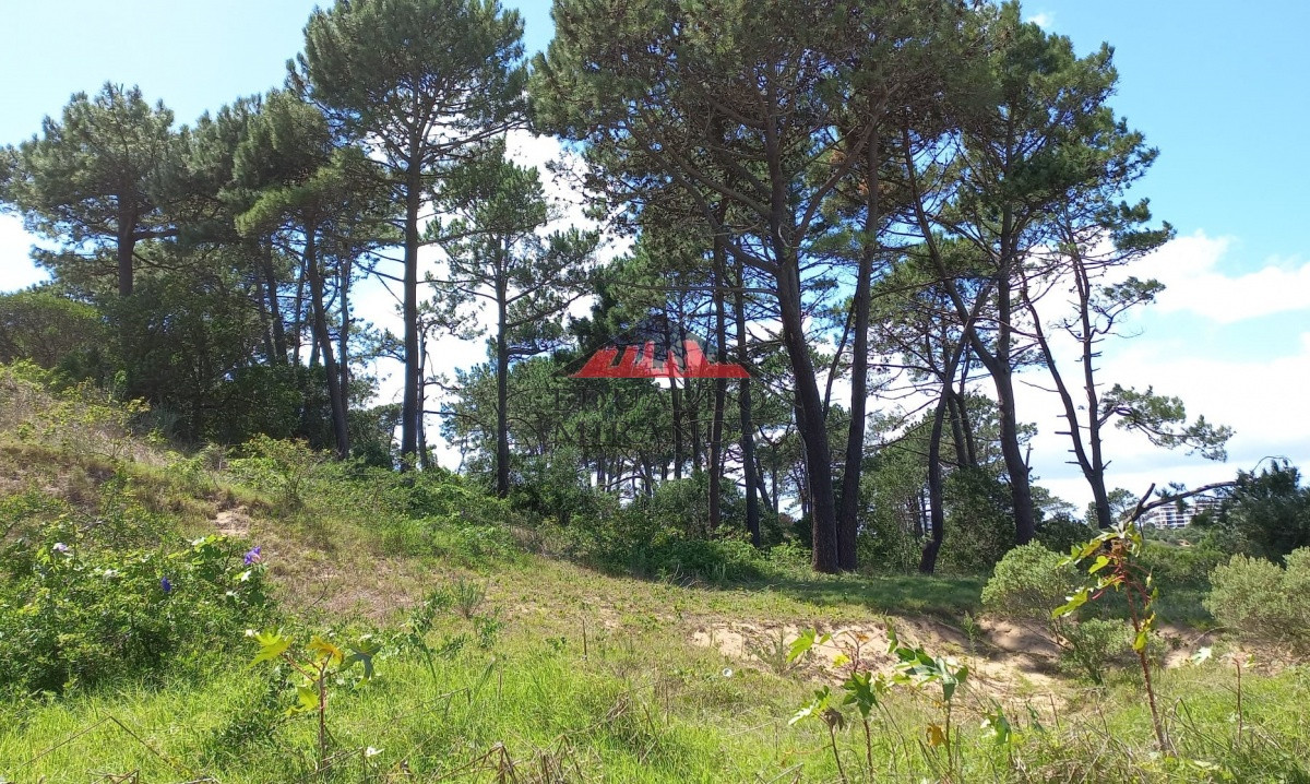 VENTA 1001 m2 EN RINCÓN DEL INDIO -PUNTA DEL ESTE - EMP3401T